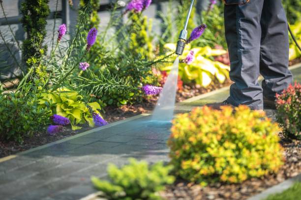 Best Pool Deck Cleaning  in Level Green, PA